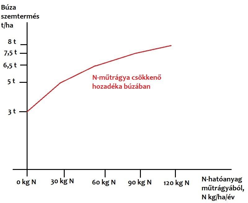 búza nitrogénreakciója a csökkenő hozadék elvét követi