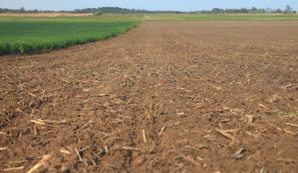 min-till talaj, napraforgó vetés után